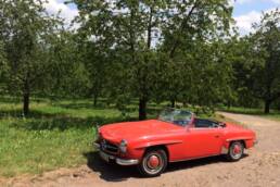 Oldtimer als Geldanlage? Ja, aber... 2 der-Autotester