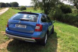 der-Autotester