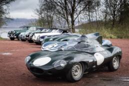 Jaguar flüchtet vor Geburtstagsfeierlichkeiten 8 der-Autotester