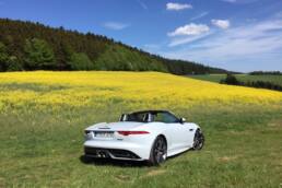 Jaguar Land Rover lässt bei Magna Steyr in Graz produzieren 14 der-Autotester
