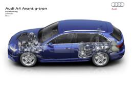 der-Autotester