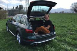 Audi A4 Allroad - Der Avant für Abenteurer 19 der-Autotester