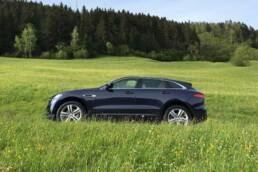 der-Autotester