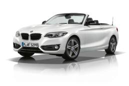 BMW 2er Cabrio (01/2019)