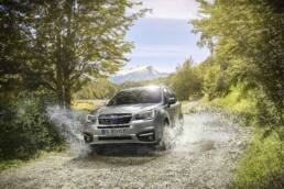 Subaru_Forester_2019