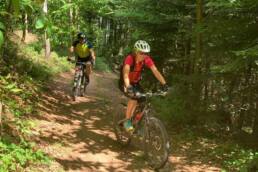 Wie verhindere ich taube Hände beim Radfahren?