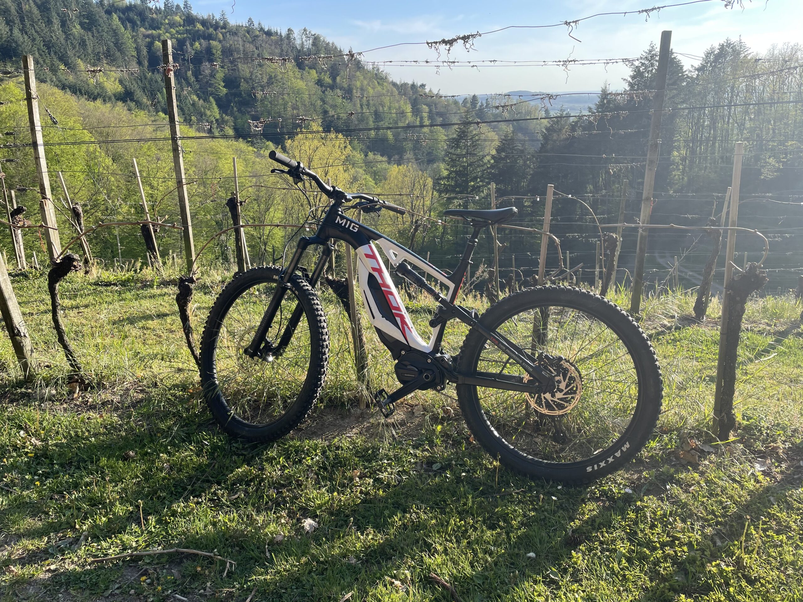 E-MTB Thok MIG 2.0