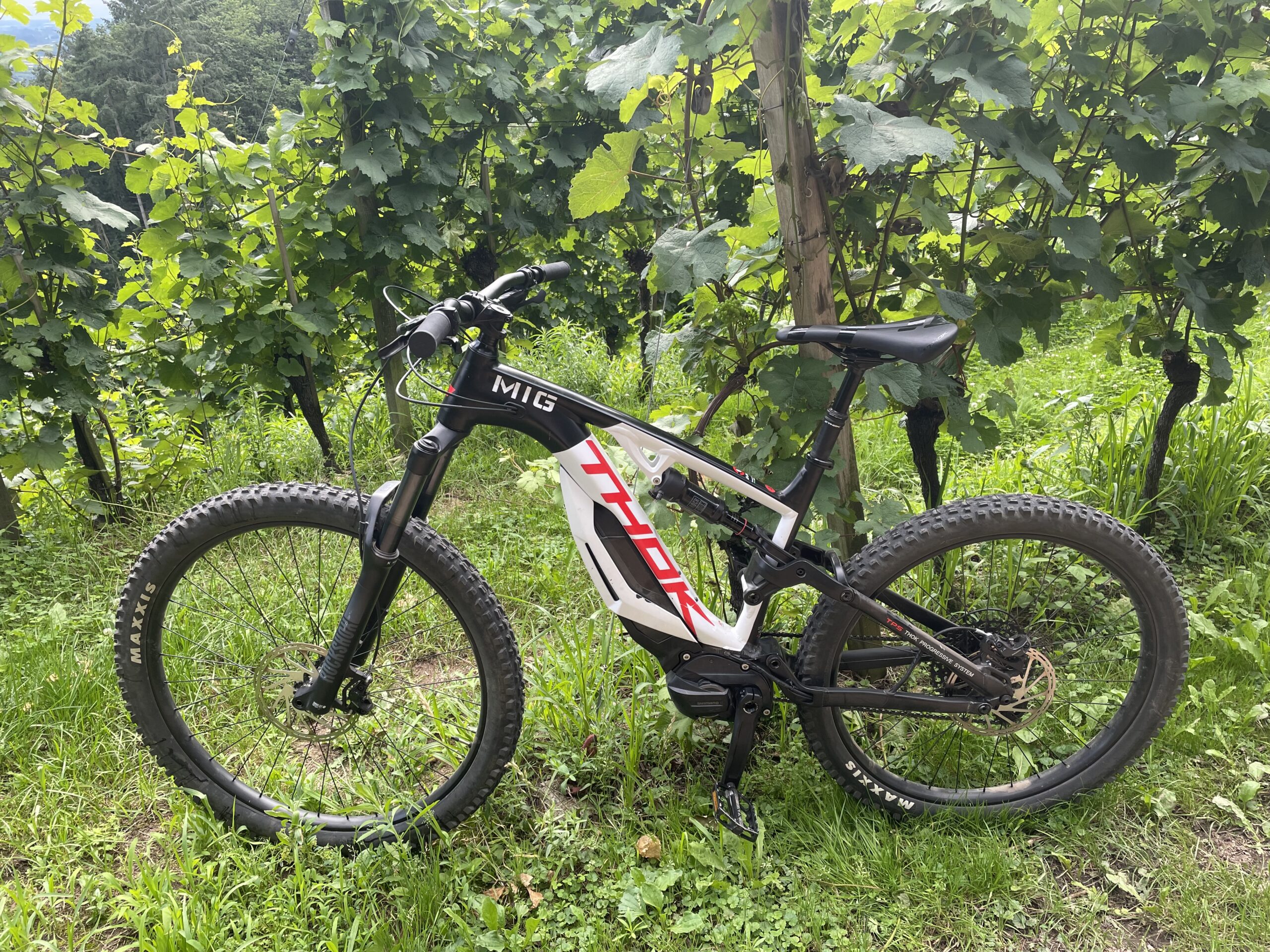 E-MTB Thok MIG 2.0