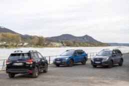 Gleich drei Subaru Sondereditionen 7 Subaru Sondereditionen Outback EDITION PLATINUM CROSS, Forester EDITION EXCLUSIVE CROSS und Forester EDITION BLACK PLATINUM